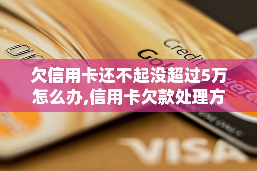 欠信用卡还不起没超过5万怎么办,信用卡欠款处理方法