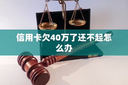 信用卡欠40万了还不起怎么办