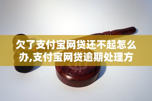 欠了支付宝网贷还不起怎么办,支付宝网贷逾期处理方法