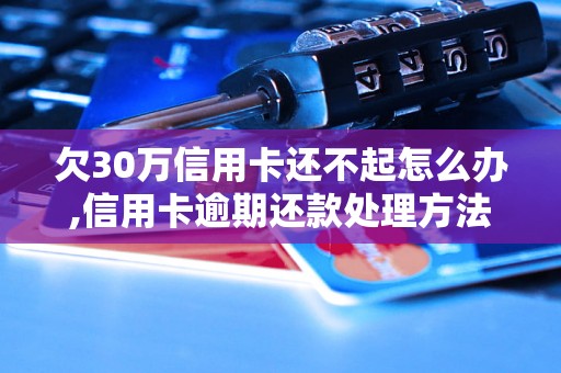 欠30万信用卡还不起怎么办,信用卡逾期还款处理方法