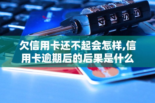 欠信用卡还不起会怎样,信用卡逾期后的后果是什么