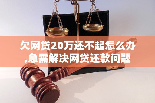 欠网贷20万还不起怎么办,急需解决网贷还款问题