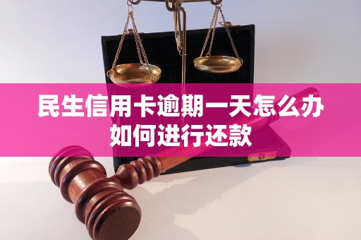 民生信用卡逾期一天怎么办如何进行还款