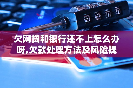 欠网贷和银行还不上怎么办呀,欠款处理方法及风险提示