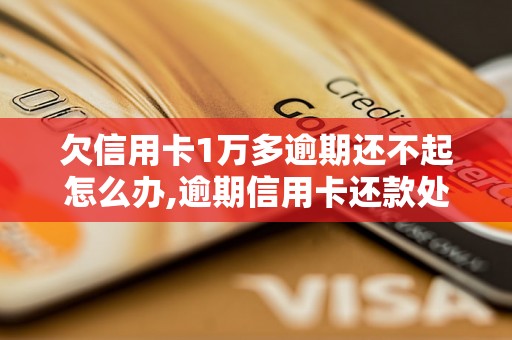 欠信用卡1万多逾期还不起怎么办,逾期信用卡还款处理方法