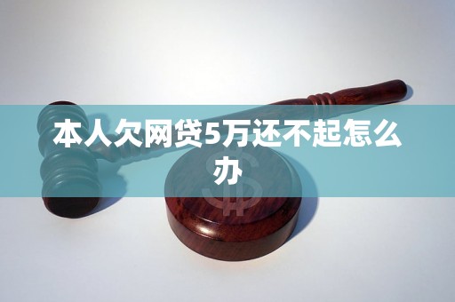 本人欠网贷5万还不起怎么办