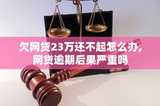 欠网贷23万还不起怎么办,网贷逾期后果严重吗