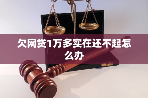 欠网贷1万多实在还不起怎么办