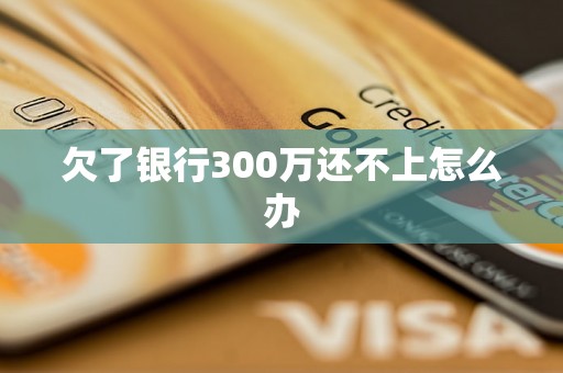 欠了银行300万还不上怎么办