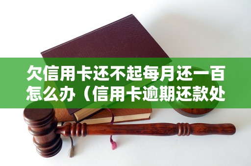 欠信用卡还不起每月还一百怎么办（信用卡逾期还款处理方法详解）