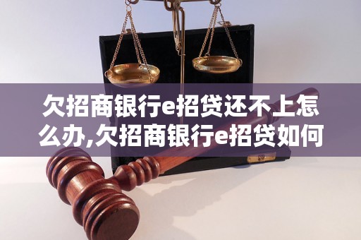 欠招商银行e招贷还不上怎么办,欠招商银行e招贷如何解决