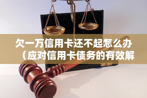 欠一万信用卡还不起怎么办（应对信用卡债务的有效解决方法）