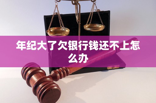 年纪大了欠银行钱还不上怎么办