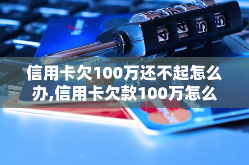 信用卡欠100万还不起怎么办,信用卡欠款100万怎么解决