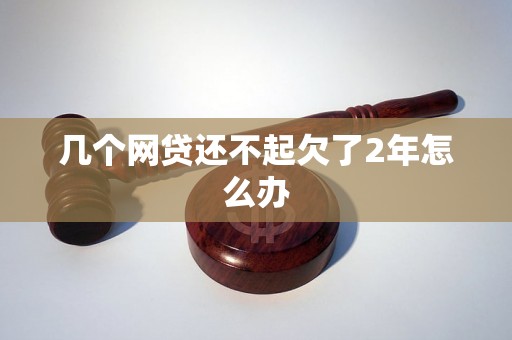 几个网贷还不起欠了2年怎么办