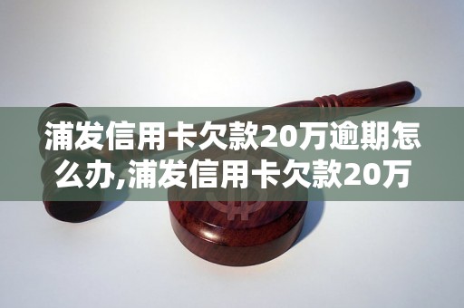 浦发信用卡欠款20万逾期怎么办,浦发信用卡欠款20万逾期后果严重吗