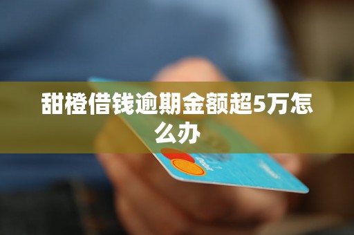 甜橙借钱逾期金额超5万怎么办