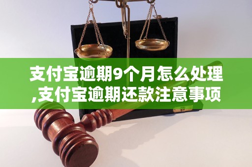 支付宝逾期9个月怎么处理,支付宝逾期还款注意事项