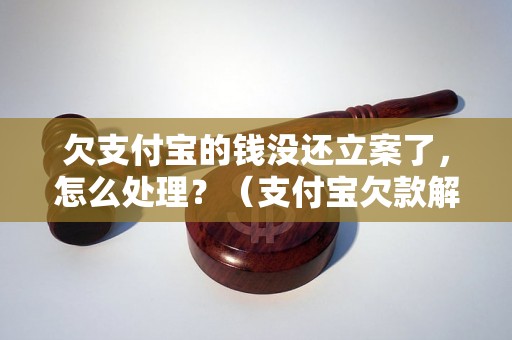 欠支付宝的钱没还立案了，怎么处理？（支付宝欠款解决方法详解）