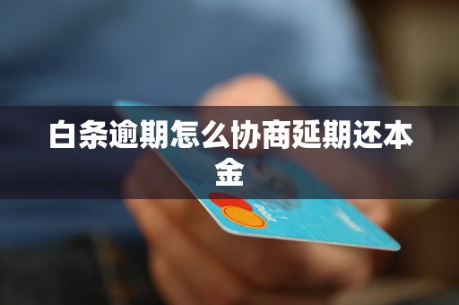 白条逾期怎么协商延期还本金