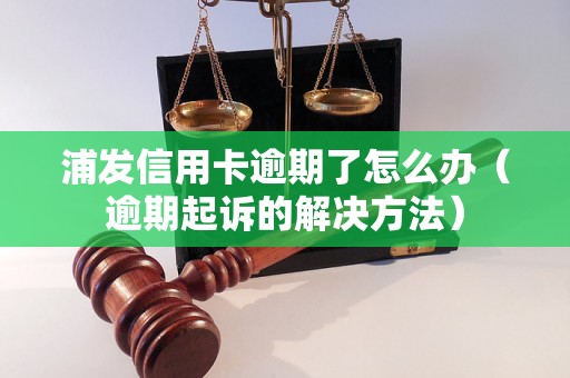 浦发信用卡逾期了怎么办（逾期起诉的解决方法）