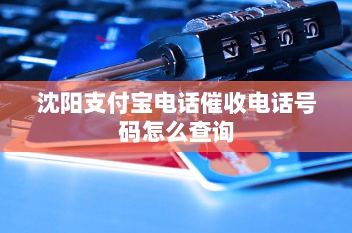 沈阳支付宝电话催收电话号码怎么查询