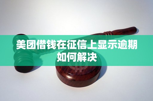 美团借钱在征信上显示逾期如何解决