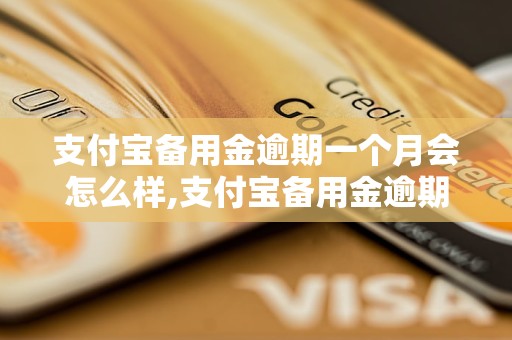 支付宝备用金逾期一个月会怎么样,支付宝备用金逾期还能用吗