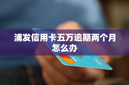 浦发信用卡五万逾期两个月怎么办