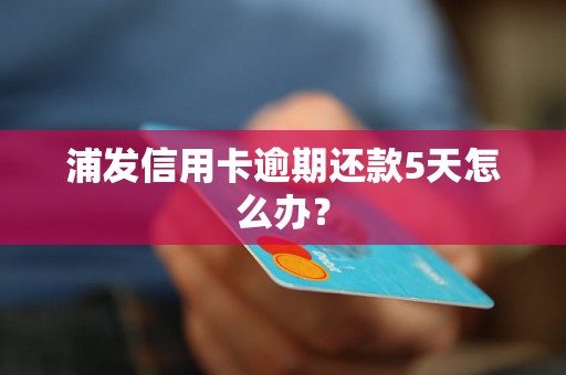 浦发信用卡逾期还款5天怎么办？