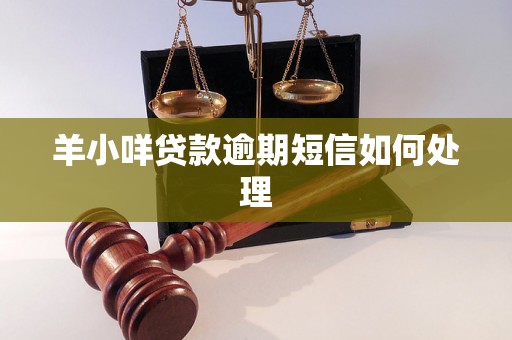 羊小咩贷款逾期短信如何处理