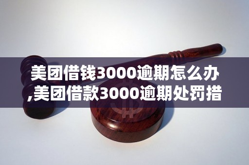 美团借钱3000逾期怎么办,美团借款3000逾期处罚措施