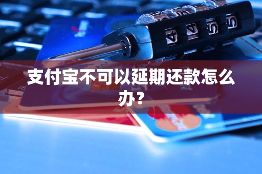 支付宝不可以延期还款怎么办？