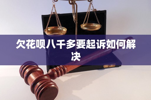 欠花呗八千多要起诉如何解决