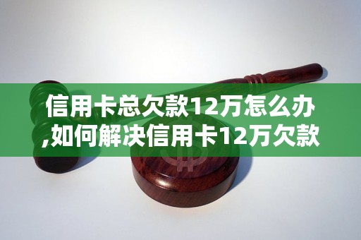 信用卡总欠款12万怎么办,如何解决信用卡12万欠款问题