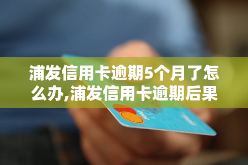 浦发信用卡逾期5个月了怎么办,浦发信用卡逾期后果及解决方法