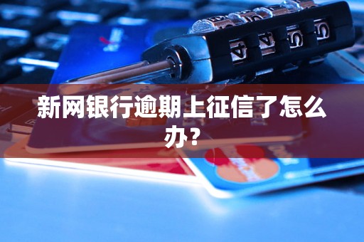 新网银行逾期上征信了怎么办？