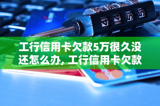 工行信用卡欠款5万很久没还怎么办, 工行信用卡欠款逾期处理方法