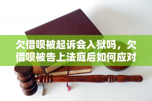 欠借呗被起诉会入狱吗，欠借呗被告上法庭后如何应对