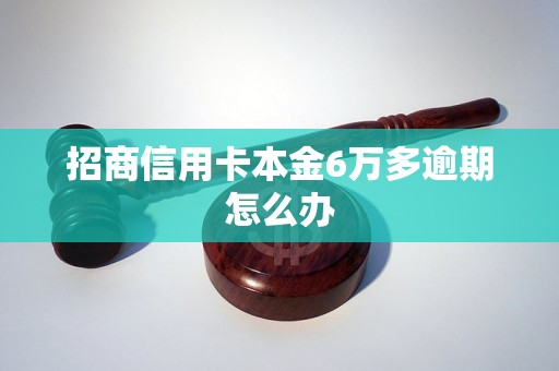 招商信用卡本金6万多逾期怎么办