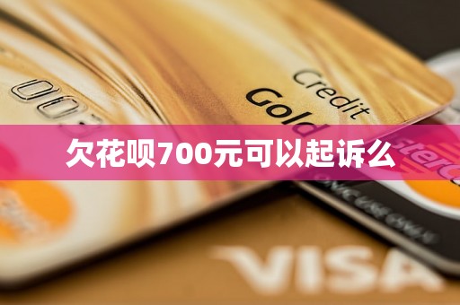 欠花呗700元可以起诉么