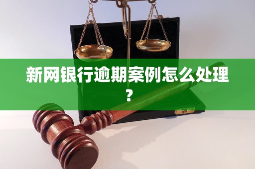 新网银行逾期案例怎么处理？