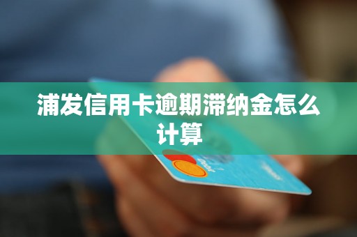 浦发信用卡逾期滞纳金怎么计算