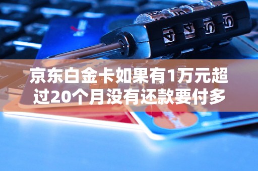 京东白金卡如果有1万元超过20个月没有还款要付多少利息