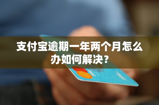 支付宝逾期一年两个月怎么办如何解决？