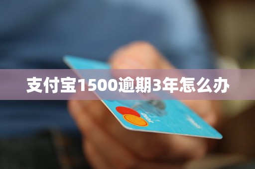 支付宝1500逾期3年怎么办