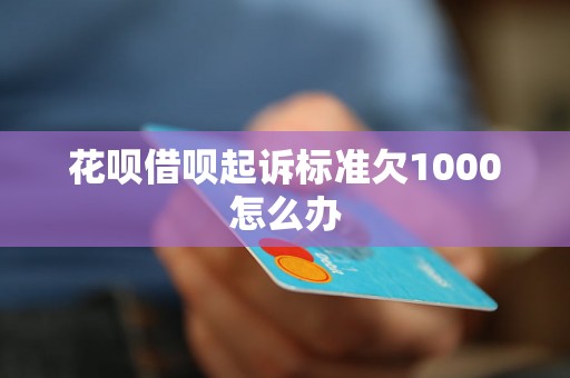 花呗借呗起诉标准欠1000怎么办