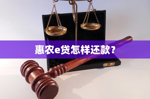 惠农e贷怎样还款？