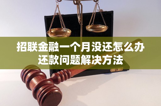 招联金融一个月没还怎么办还款问题解决方法