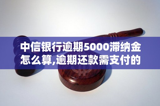 中信银行逾期5000滞纳金怎么算,逾期还款需支付的滞纳金详解